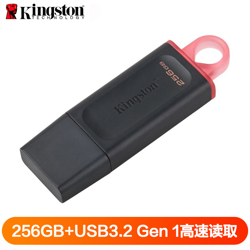 金士顿(Kingston)256GB U盘 DTX高速系统闪存优盘USB3.2 Gen 1黑色