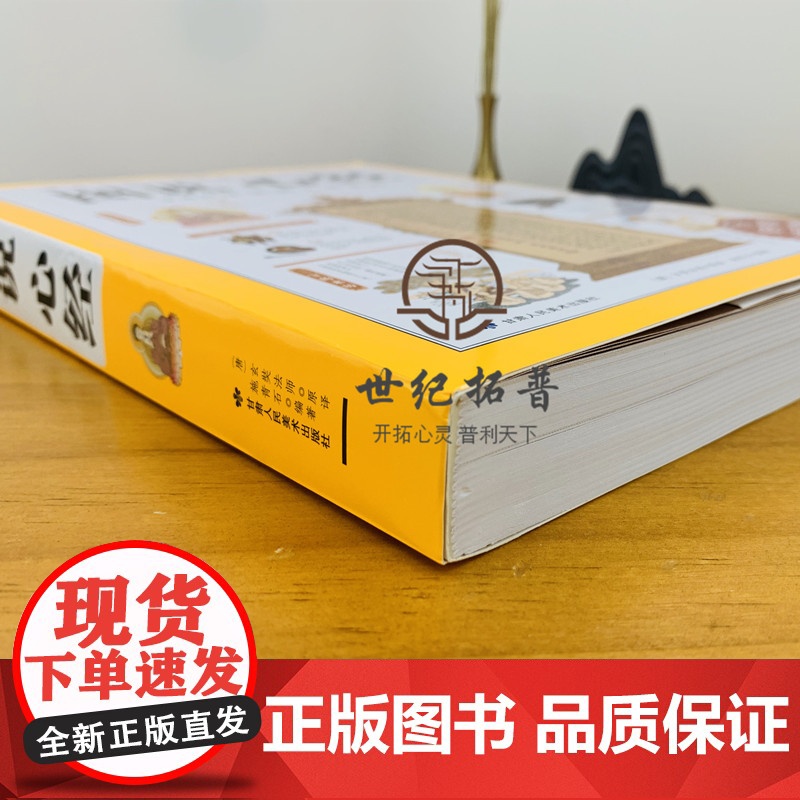 正版 图说心经 说透人生真相 般若波罗蜜多心经大般若经佛法入门书籍图解经典系列佛教金刚经楞严经紫图高清大图