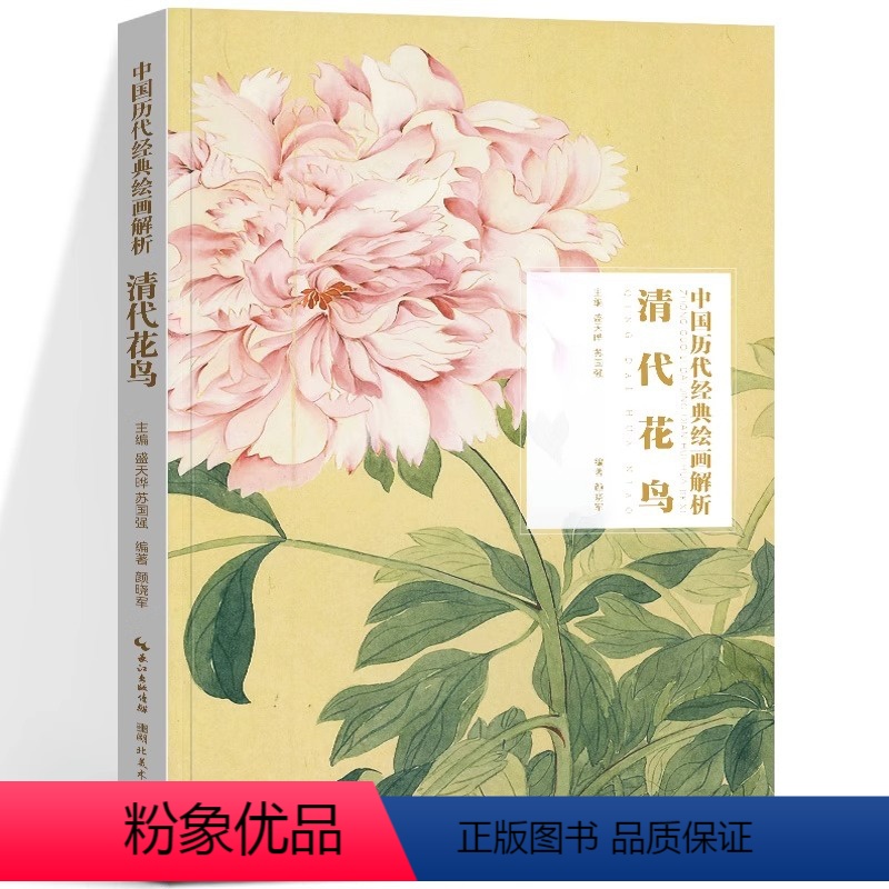 【正版】清代花鸟 中国历代经典绘画解析 精选经典作品30-40幅高清版山水花鸟画集 中国传世名画美术鉴赏临摹画册 山水