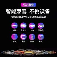 [补贴10%]汽车载u盘歌曲2024新款热歌柏林之声无损高品质车用高端音乐u优盘