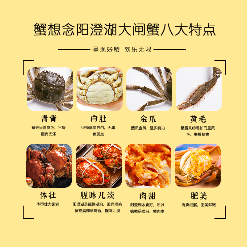 蟹想念阳澄湖大闸蟹-阖家欢乐礼盒