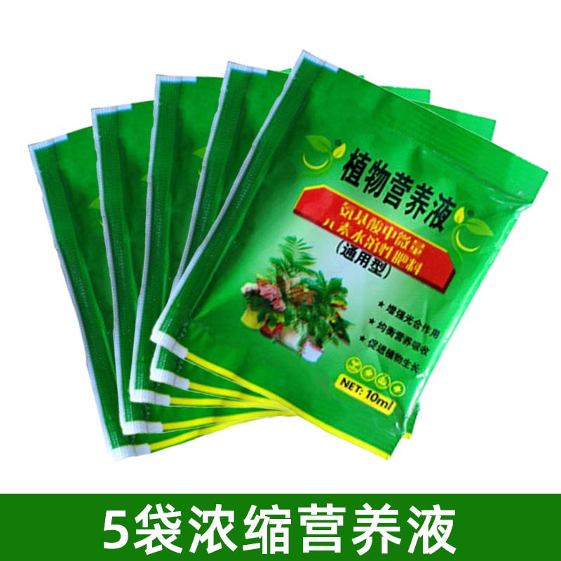 【补贴10%】四季开花荷花种子水培植物花卉室内客厅水养莲花好养碗莲睡莲盆栽 5袋浓缩营养液壮苗促开花 不含盆