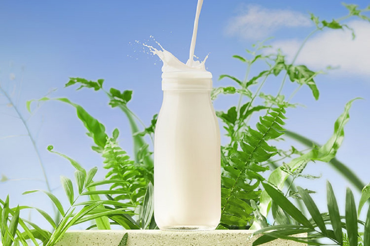 认养一头牛 3.6g蛋白纯奶 250ml利乐砖12入一提装高清大图