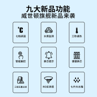 威世顿VISERTON 饮水机 家用净水机台式直饮机净水器免安装 RO反渗透除菌 净饮一体机