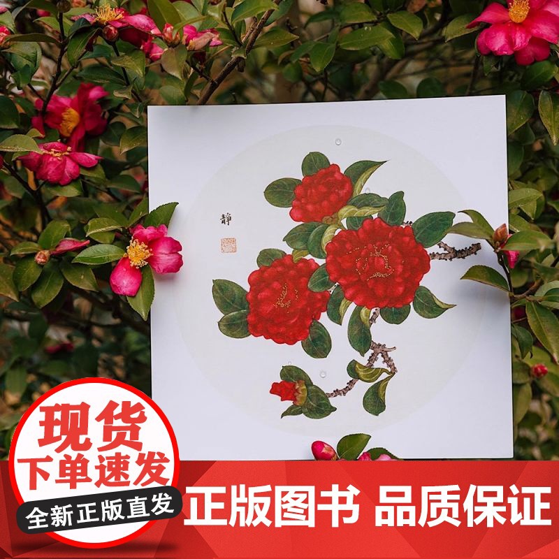 二十四番花信风 工笔花卉画片集 附教学视频/花笺 工笔画花卉技法白描底稿勾线稿中国风古风花鸟小品初学者基础入门教程临摹册高清大图