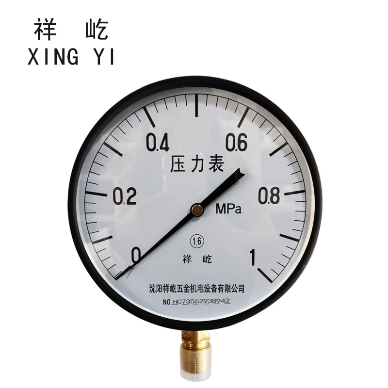 祥屹+压力表检测定制型+Y250+块 0-1.0Mpa