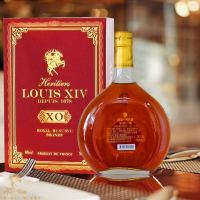 法国进口 路易十四传世XO白兰地(LOUIS XIV) 40度700ml 两瓶礼盒装