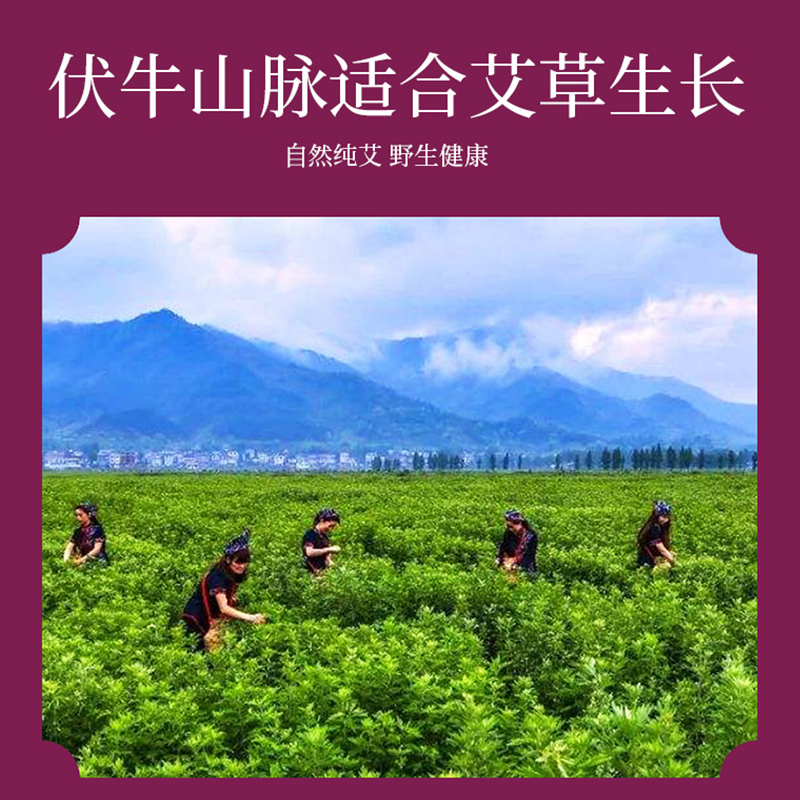 怡美堂 无烟艾灸盒四联+艾柱54粒/盒