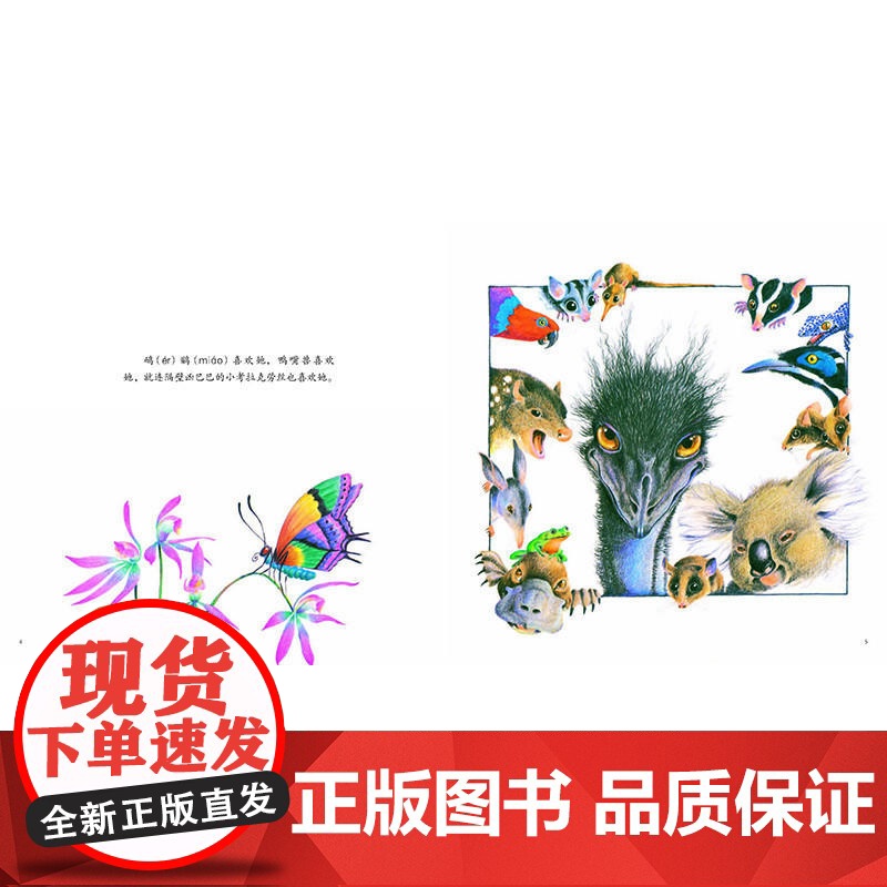 考拉噜噜高清大图