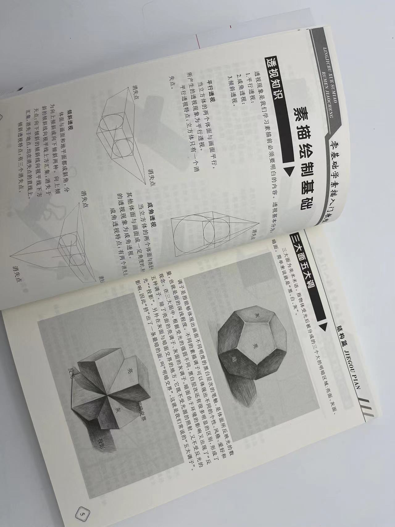 [正版]零基础学素描入门教程结构篇 从入门到精通鸟类植物动物风景几何图素描速写美术绘画入门 素描基础实用教程学画画零基础高清大图