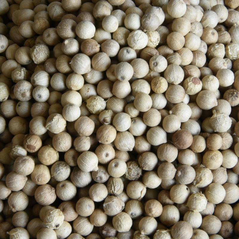 海南白胡椒粒500克精选正宗农家白胡椒颗粒保证挑选无黑粒