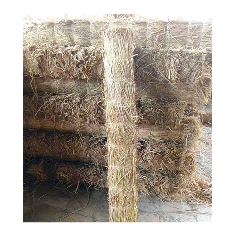 艾德林锐条形草支垫1450*100*150mm根高清大图