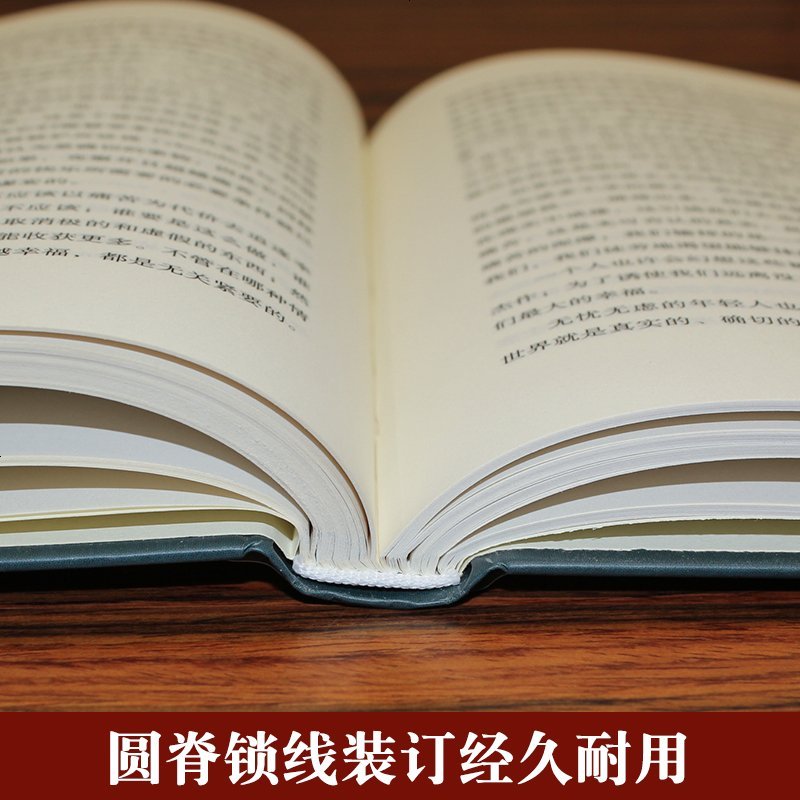 【精装】人生的智慧 叔本华 人生哲学智慧美学 韦启昌推荐 叔本华经典书籍 唯意志主义西方哲学 97875168110