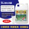 锦鲤硝化细菌鱼缸虫菌净水剂除氯绿水浑水净化观赏鱼