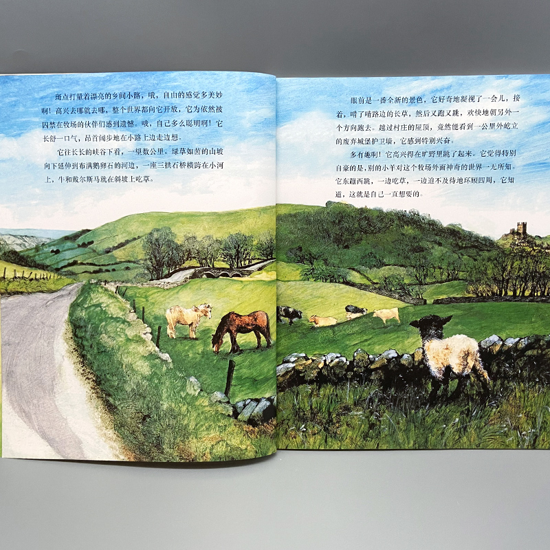 [M]我的动物朋友:失踪的小羊羔 [英]吉米·哈利 著 廖美琳 译 -9787020133468高清大图
