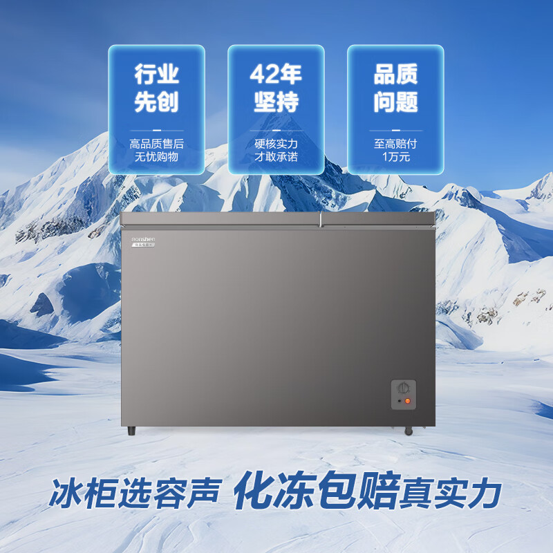 容声(Ronshen)BCD-286E10KNLAD 灰 286升冰柜家用大容量小冷藏大冷冻双温冷柜顶开门卧式冰箱高清大图