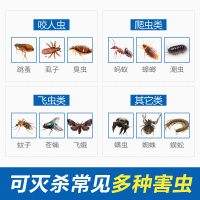 家用杀虫剂除蟑螂药跳蚤臭虫虱子苍蝇蚂蚁蚊子蜘蛛驱蚊药水虫气喷雾剂床上猫狗宠物 全害虫型500克1瓶装