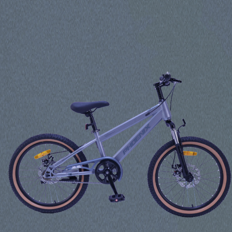 凤凰(PHOENIX) 20寸 山地自行车-贝塔puls(辐条轮)摩登灰高清大图