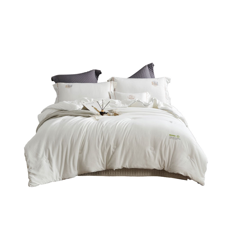 艾逸瑶选 卡莉娜抗菌亲肤冬被 200*230cm JF-24141