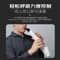 罗兰(Roland)AE-01C电吹管新型电子萨克斯支持蓝牙初学者成人老年人电子管乐