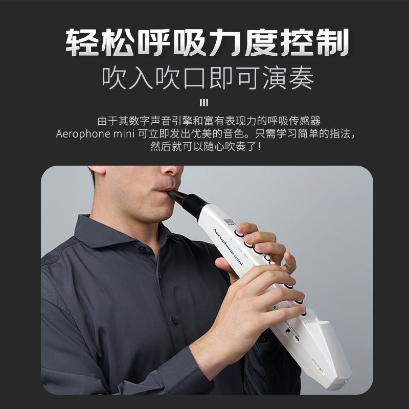 罗兰(Roland)AE-01C电吹管新型电子萨克斯支持蓝牙初学者成人老年人电子管乐