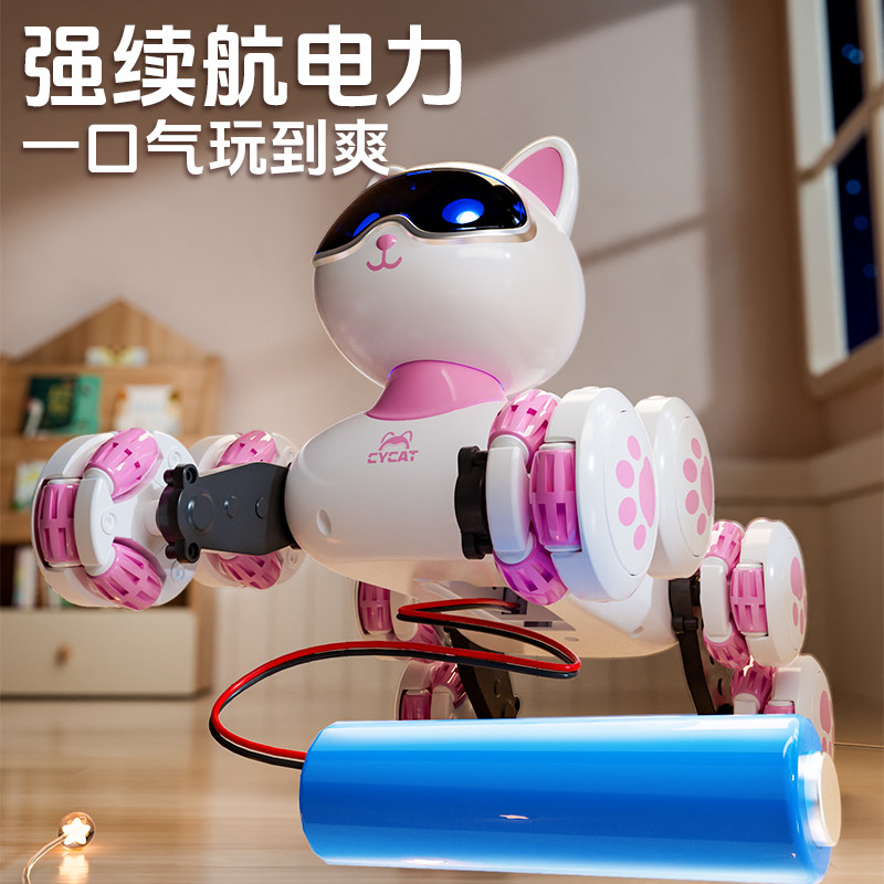 八轮遥控特技猫高清大图