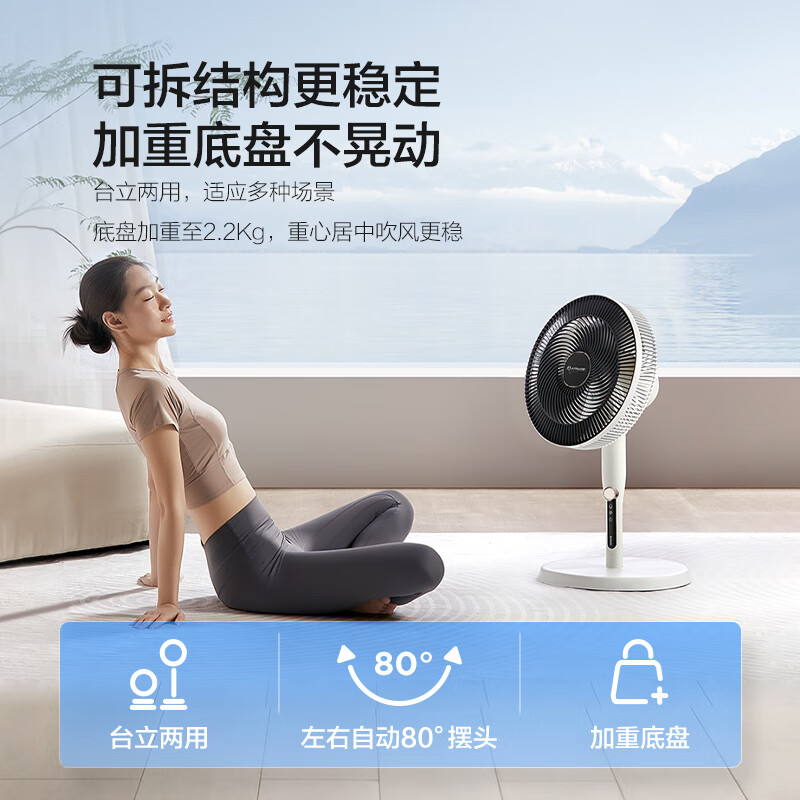 艾美特(AIRMATE)七叶大风量落地扇家用轻音节能电风扇 FS35-X76高清大图
