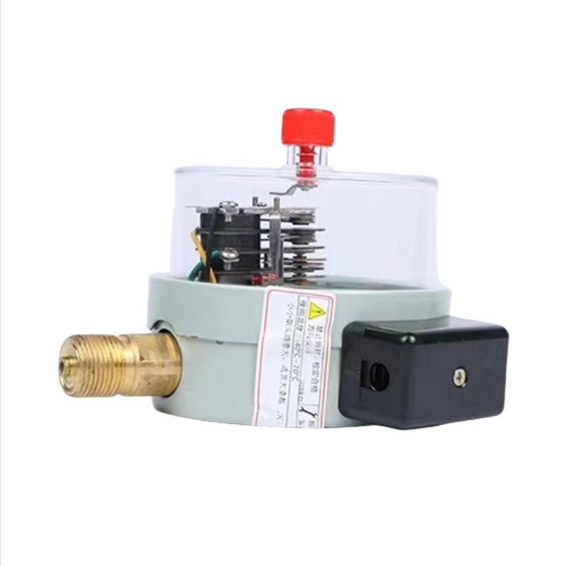 红旗 电接点压力表定制检测款 YX100 (备注压力值) 块高清大图