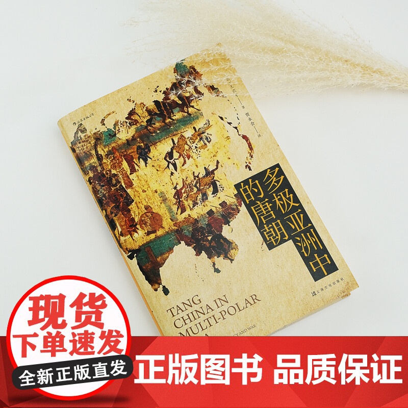 多极亚洲中的唐朝 王贞平 著 历史高清大图