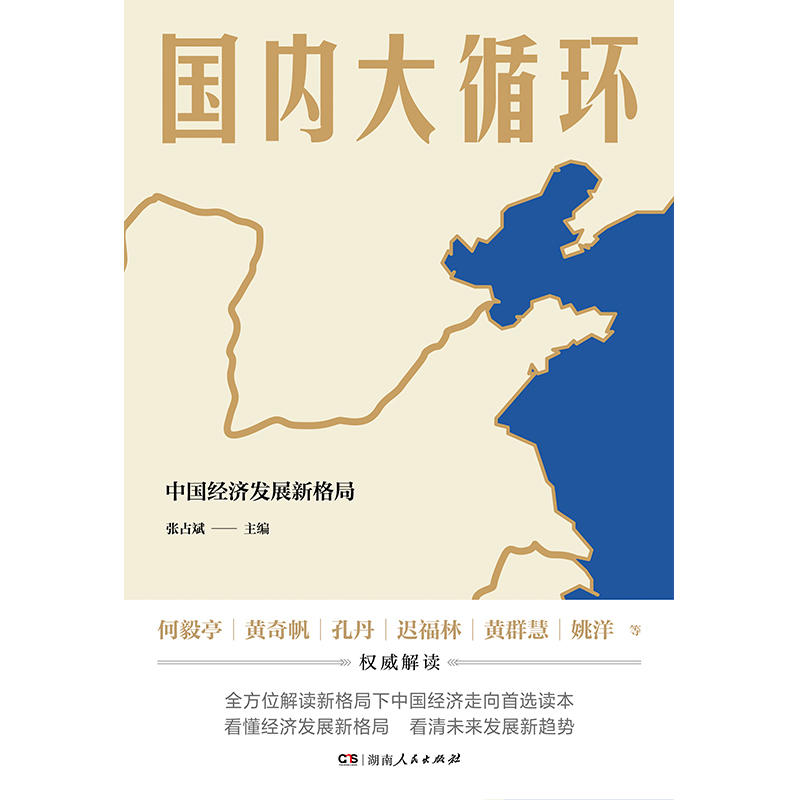 [正版] 国内大循环 全景式解读大循环的开创之作!更加贴近决策层的视角讲透新发展格局下的战略与机遇!