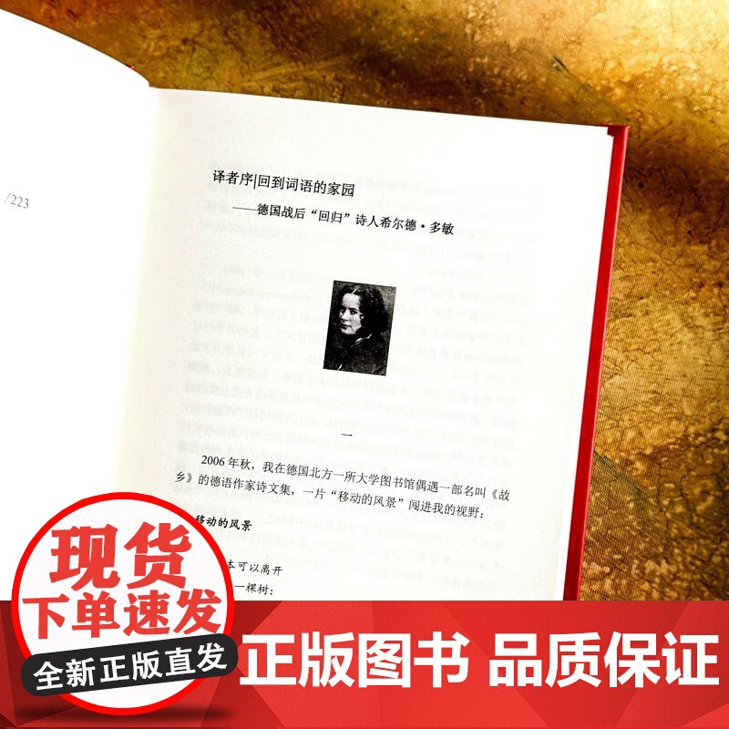 只有一朵玫瑰支撑 希尔德·多敏诗选 希尔德·多敏 著 外国文学高清大图