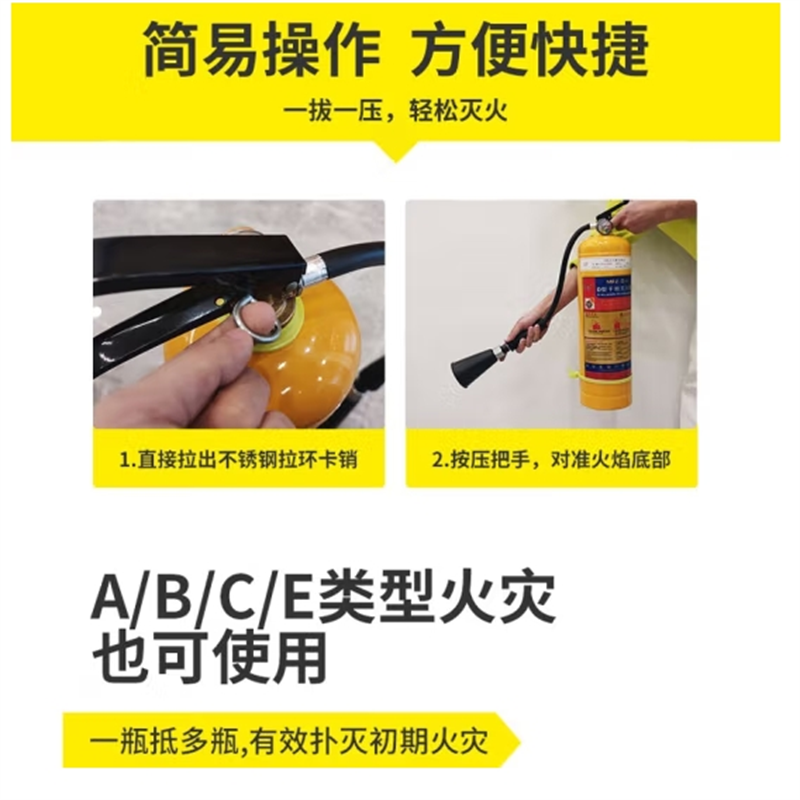 浙安(ZHEAN) D类手提金属灭火器推车式新能源车锂电池镁铝专用消防器材 D类通用手提式4kg