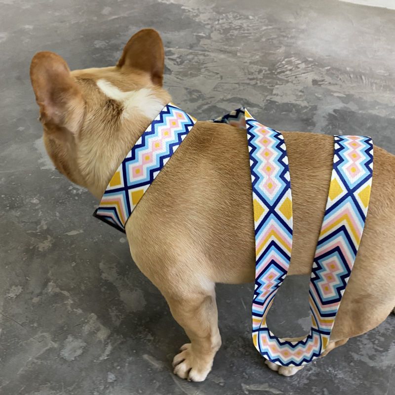 潮牌狗狗项圈狗圈脖圈中大型犬颈圈防勒法斗牛金毛牵引绳宠物用品b46s