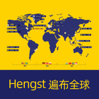 汉格斯特(hengst)空气滤E1554L适配哈弗H5 柴油/风骏