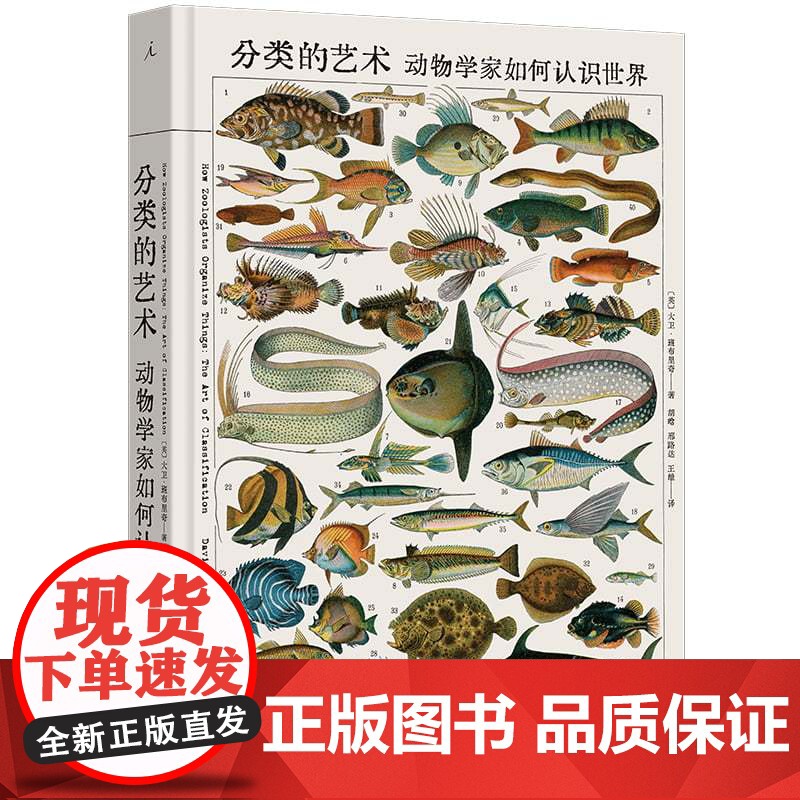 分类的艺术 动物学家如何认识世界 大卫 班布里奇 著 一部艺术化的动物分类发展史 理想国图书店高清大图
