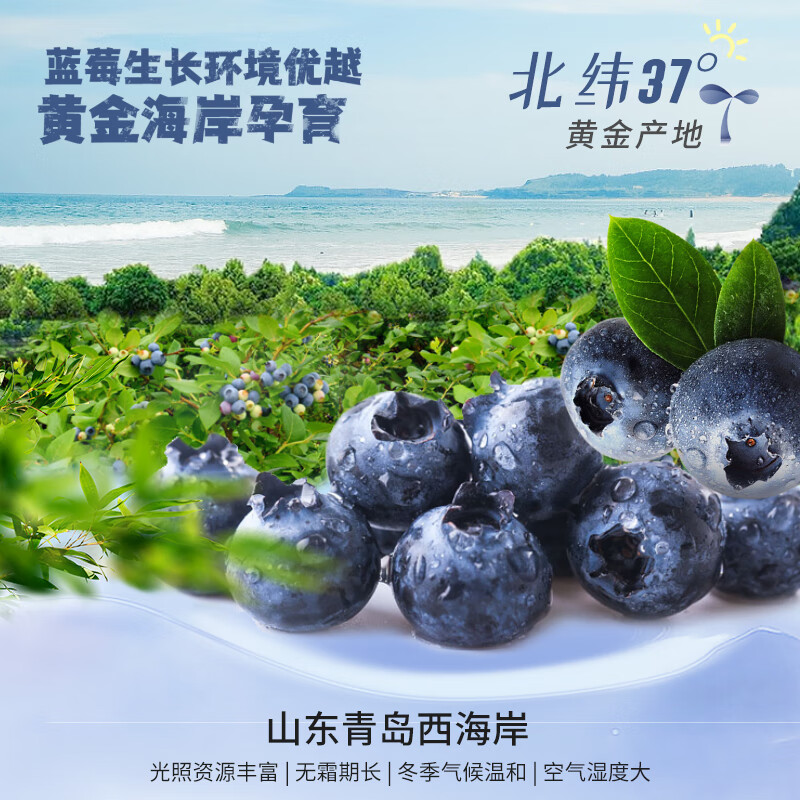 汇源 蓝莓复合果汁200ml*12盒 花青素饮料果蔬汁高清大图