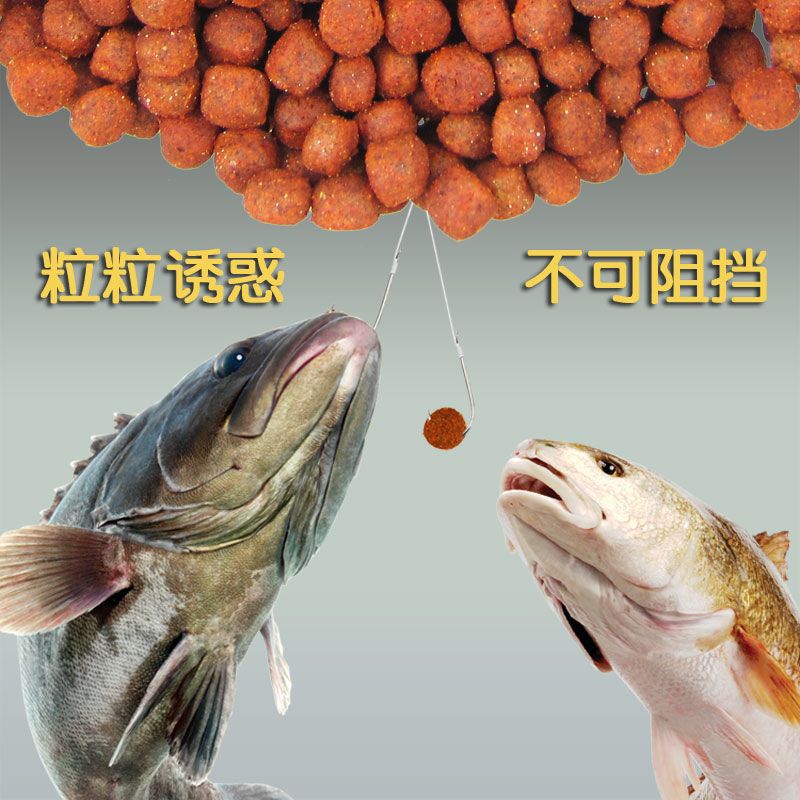 狂钓鲤鱼鲫鱼饵罗非鱼食颗粒饵料直接挂钩鱼饵野钓黑坑垂钓饵T8