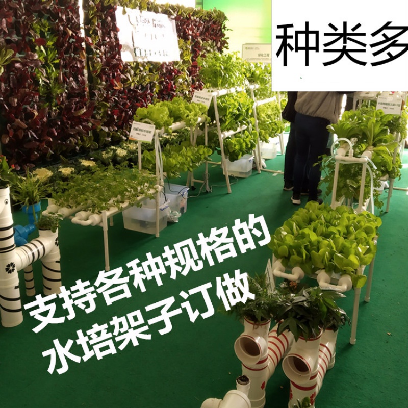 回固无土栽培水培蔬菜设备种植棉阳台种菜机固定绵水培定植绵45 定植绵100只图片 高清实拍大图 苏宁易购