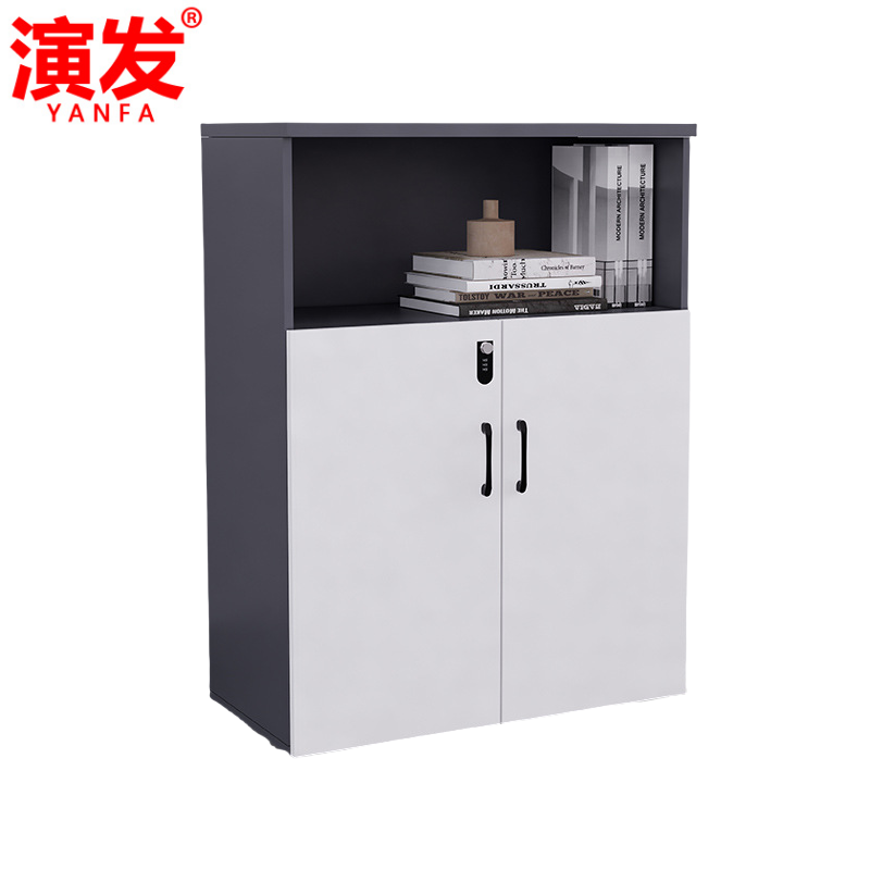 演发 资料储物柜高清大图