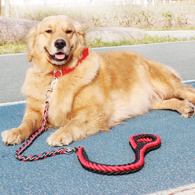 狗狗牵引绳狗链子中型大型犬狗绳金毛拉布拉多遛狗绳p链项圈用品