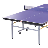 红双喜(DHS)乒乓球台可折叠室内家用有轮子滚轮球桌T2023重量115KG(附网架 兵拍 乒球)
