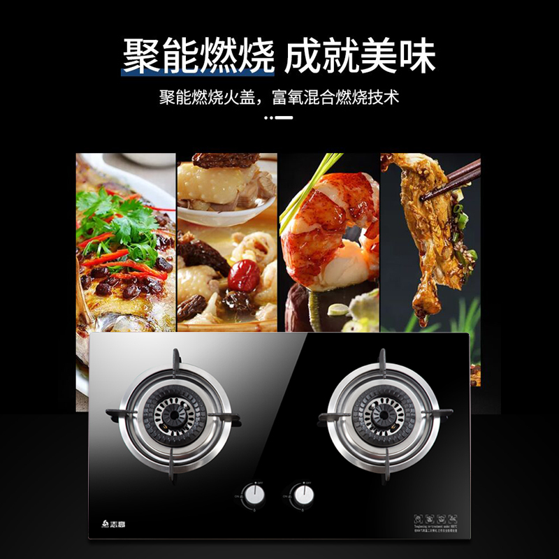 志高(CHIGO) F210D双灶眼燃气灶具台式嵌入式两用蓝焰炫火4.8大火力燃气灶(天然气)高清大图