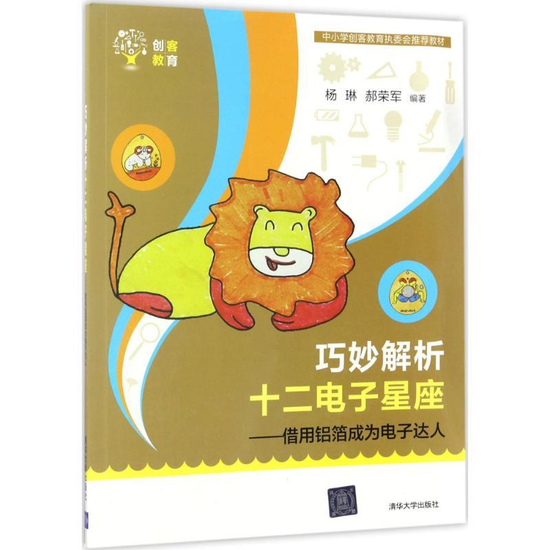 正版新书】巧妙解析十二电子星座:借用铝箔成为电子达人杨琳9787