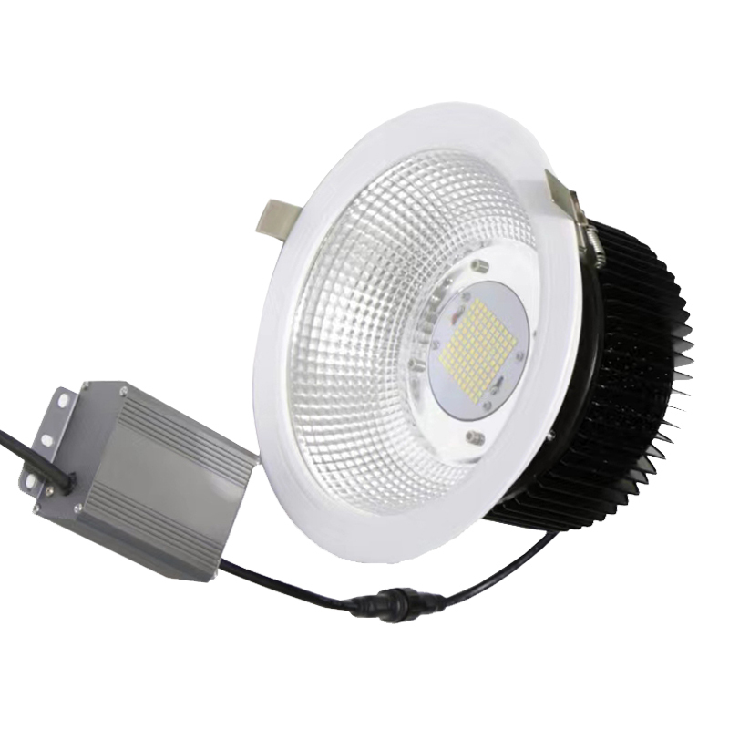 光大特照 BFL9100(C) LED AC220V 40WIP44 6000K 4000Lm LED筒灯 计价单位:套