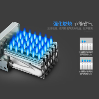 韩宝(HANBAO)DSH15恒温燃气热水器 煤气热水器 液化气热水器天然气12L 天然气