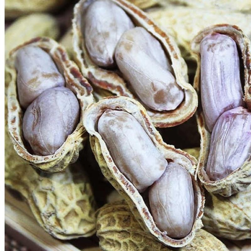 花生蒜香五香水煮白晒蒜香味1000g