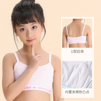 迪鲁奥(DILUAO)授权店铺 儿童内衣套装女童内衣小背心育期9-12岁10大童文胸罩13秋冬15小学生儿童女孩全