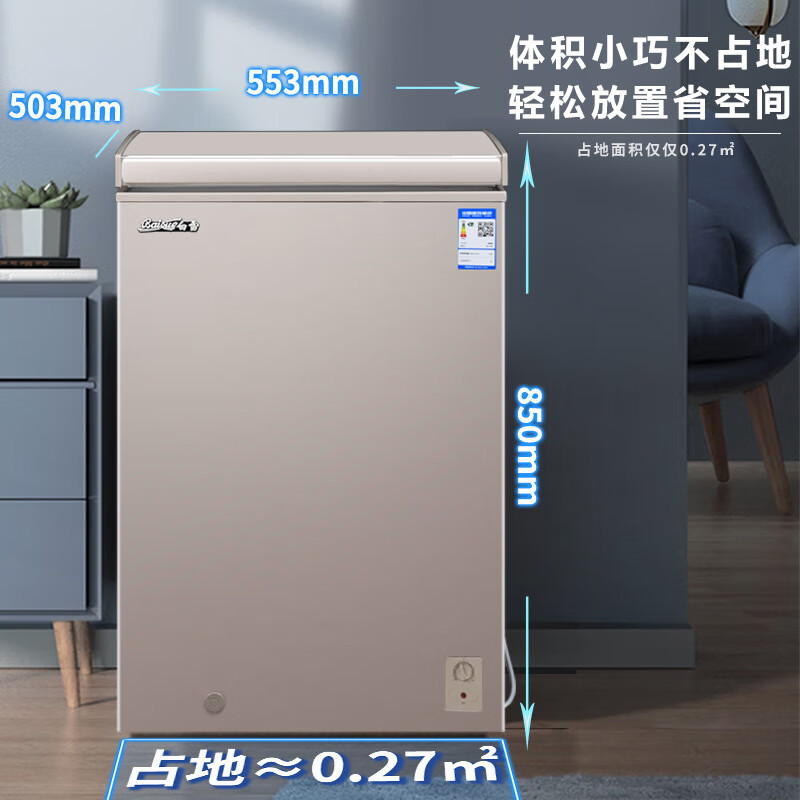 白雪冷柜BD/C98DS家用小冰柜98升冷冻冷藏转换冷冻箱