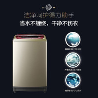 小天鹅(LittleSwan)全自动波轮洗衣机8公斤KG 智能水魔方水流 无孔立方内筒 衣物防缠绕 桶自洁