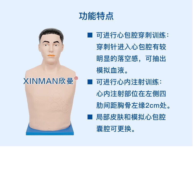 欣曼科教 心包穿刺与心内注射模拟人 心包穿刺训练模型XM-XB01高清大图